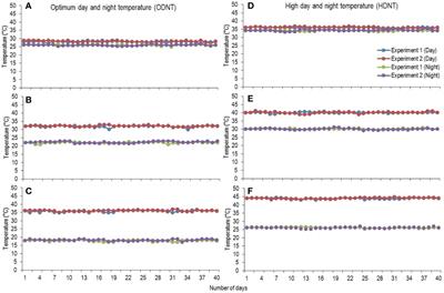 Narrowing Diurnal Temperature Amplitude Alters Carbon Tradeoff and Reduces Growth in C4 Crop Sorghum